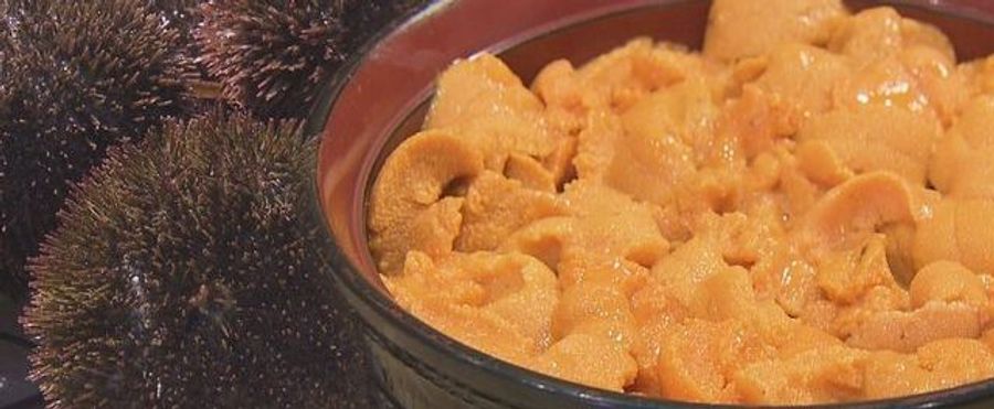Hokkaido Uni Shortage: Delicacy Prices Skyrocket to Over ¥20,000
