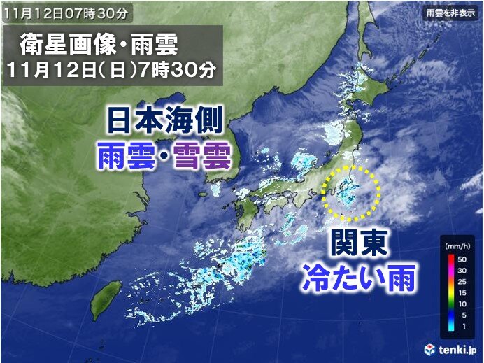 Bracing for Torrential Rain: Storm Alert Issued for Yamanin and Hokuriku Region