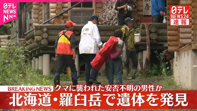 Bear Necessities: Trio of Bears Culled After Discovery of Body on Mt. Rausu