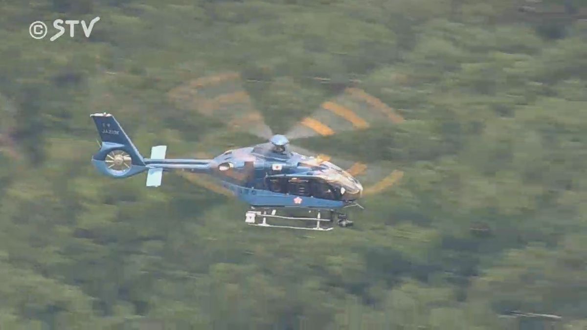 Bear Incident Claims Life of Young Man in Japan