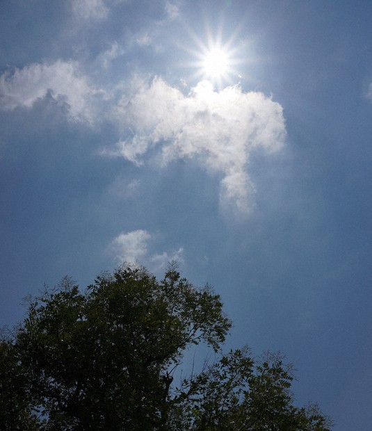 Sapporo Sizzles: Midsummer Days Sees Century Old Record Tumble