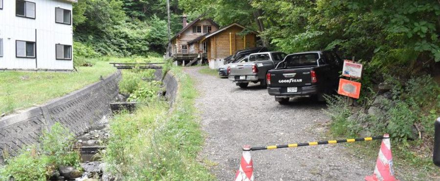Bear Encounter Turns Tragic: Man Succumbs to Injuries