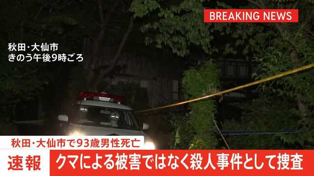 Bear Attack Turns Chilling Mystery: A Homicide Case Unfolds