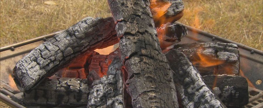 Grilling With Caution: The Unsung Risks of BBQ Charcoal Disposal