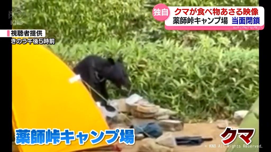 Bear Alert! Camping Site Gets an Unexpected Visitor!
