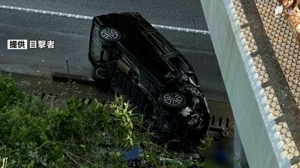 Highway Hazard: Man Faces Three-Year Sentence post Vehicular Plunge on Tomei Expressway