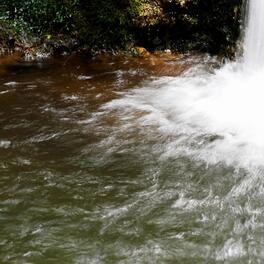 Tragic End to Waterfall Adventure: Young Adult's Fatal Dive