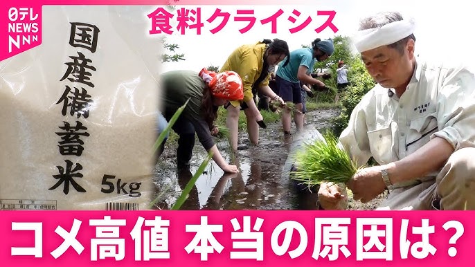 Ripple in the Paddy: New Rice Prices Soar in Japan