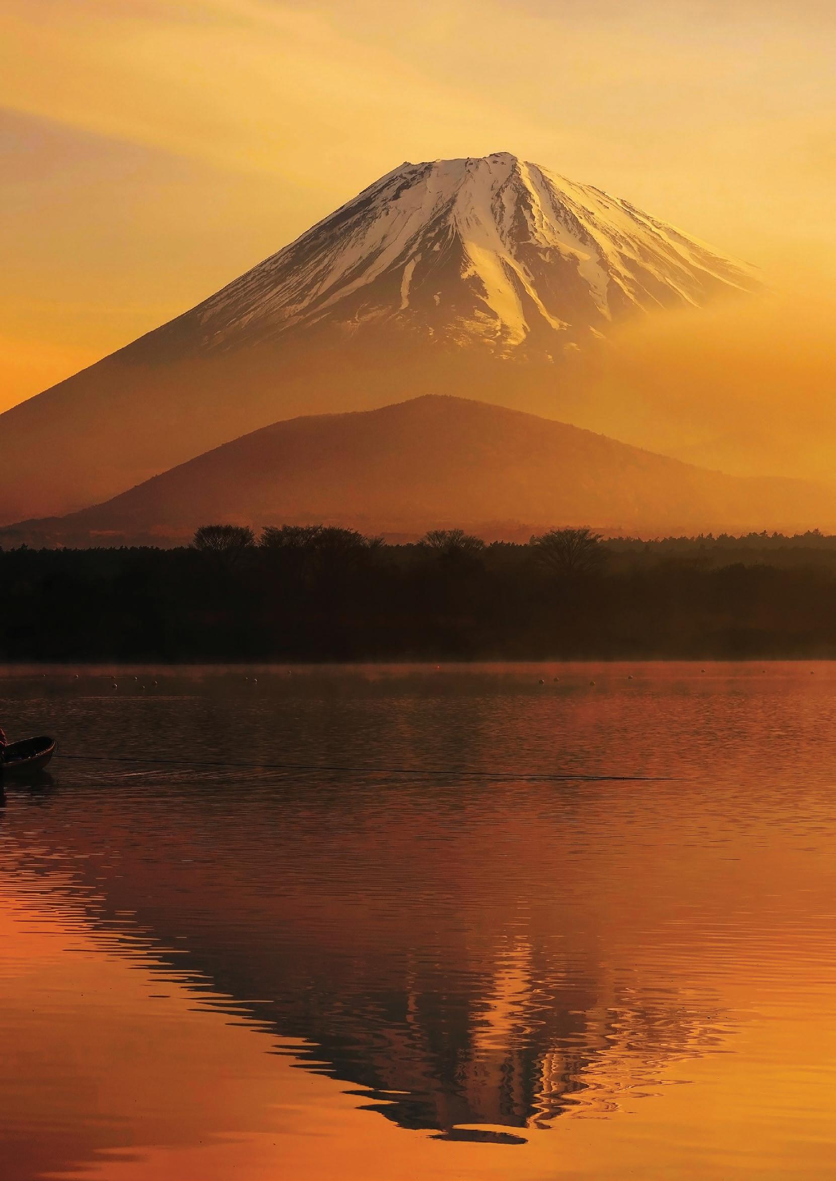 Transforming Despair into Hope: The Power of Palliative Care