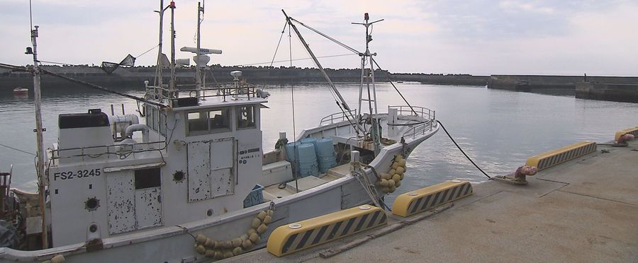 Amid Wastewater Release, Fish Prices Remain Steady in Japan