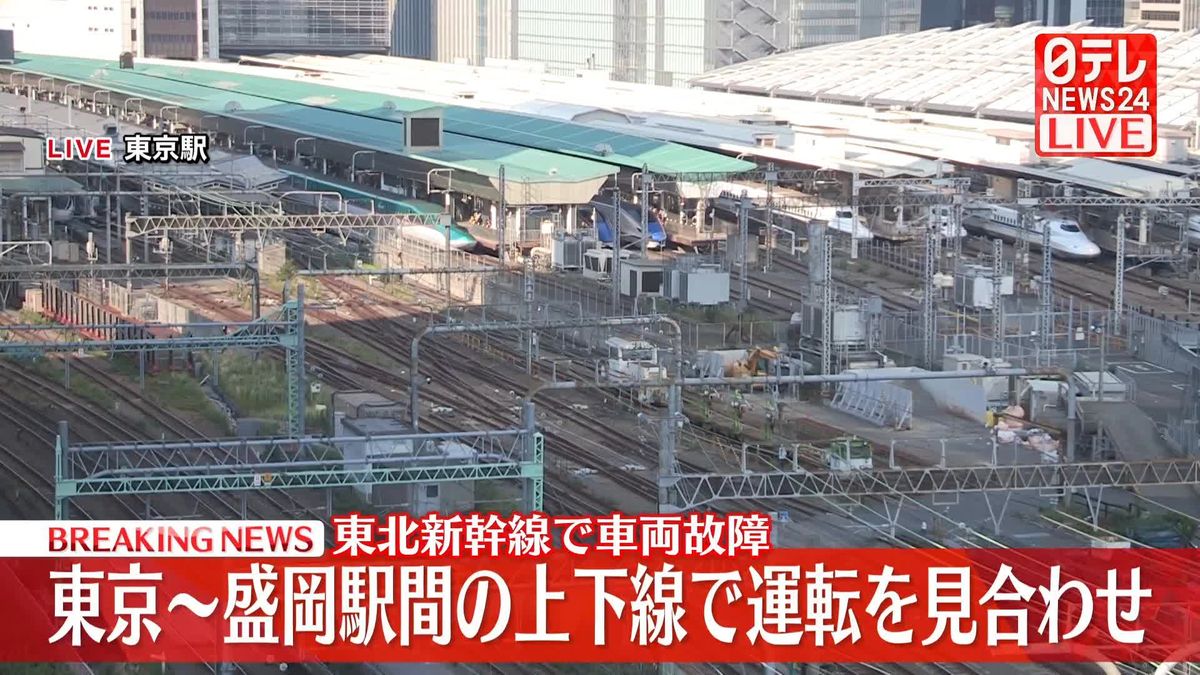Trouble on the Tracks: Delays on Tokyo-Morioka Shinkansen Line