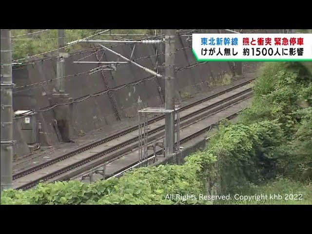 Bear-y Close Shave: Akita Bullet Train Unscathed After Unexpected Bear Encounter!