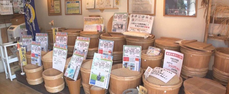 Newly Harvested Rice Flying Off the Shelves Despite High Prices!