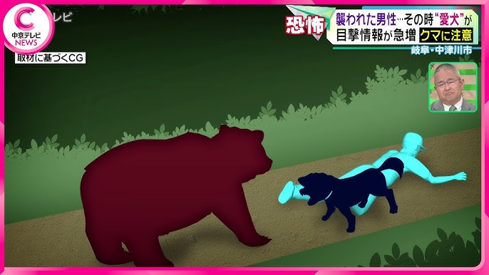 Trail Trouble: Bear Encounter on a Jogging Route in Japan