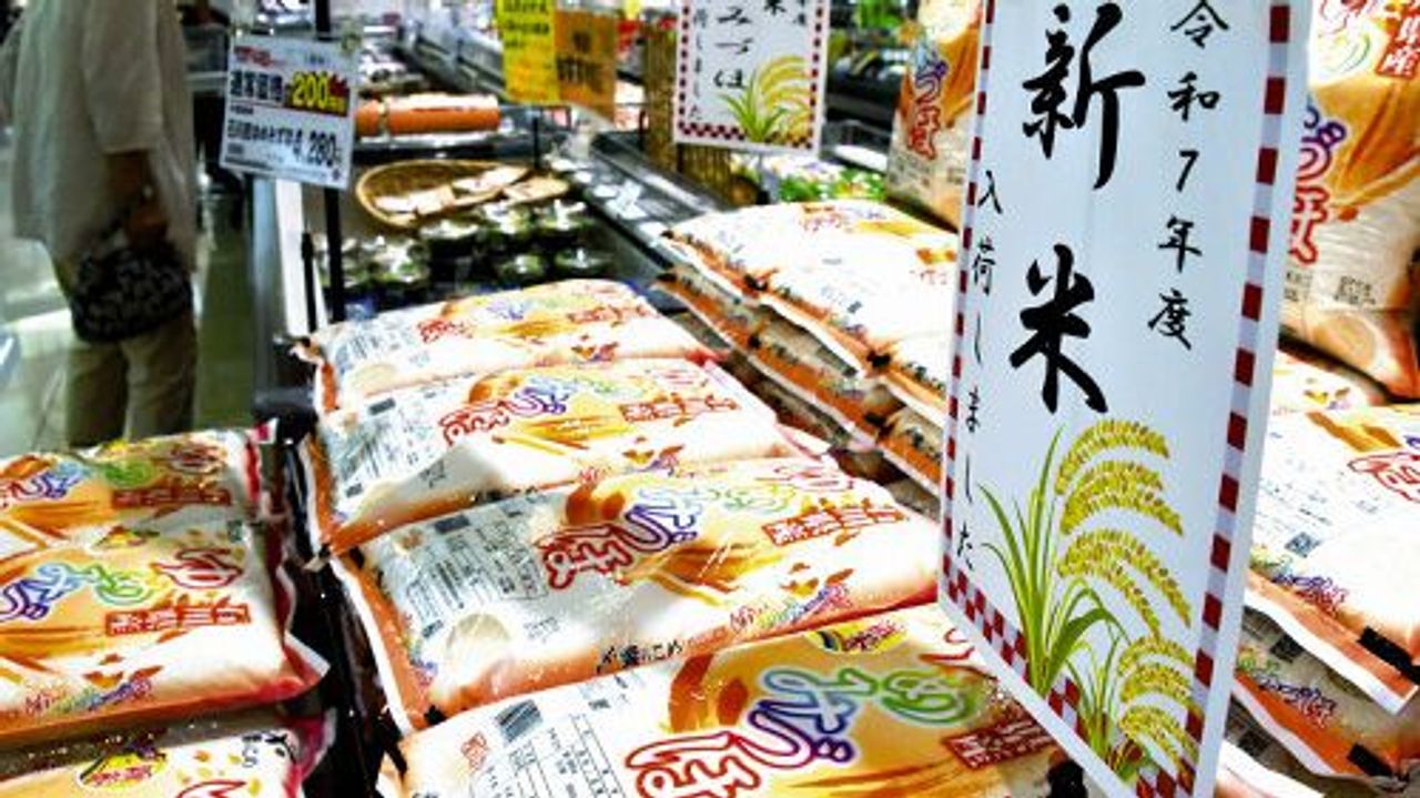Rice Prices Skyrocket: Is there Relief in Sight?