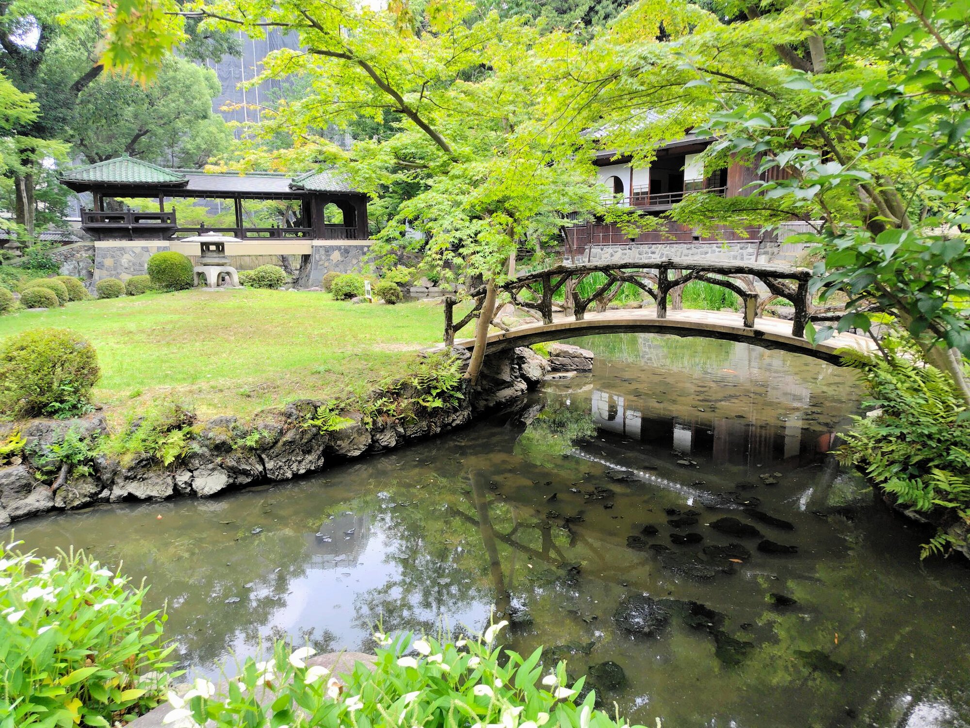 Dry Spell Hits Historic Matsuzakaya Mansion's Pond