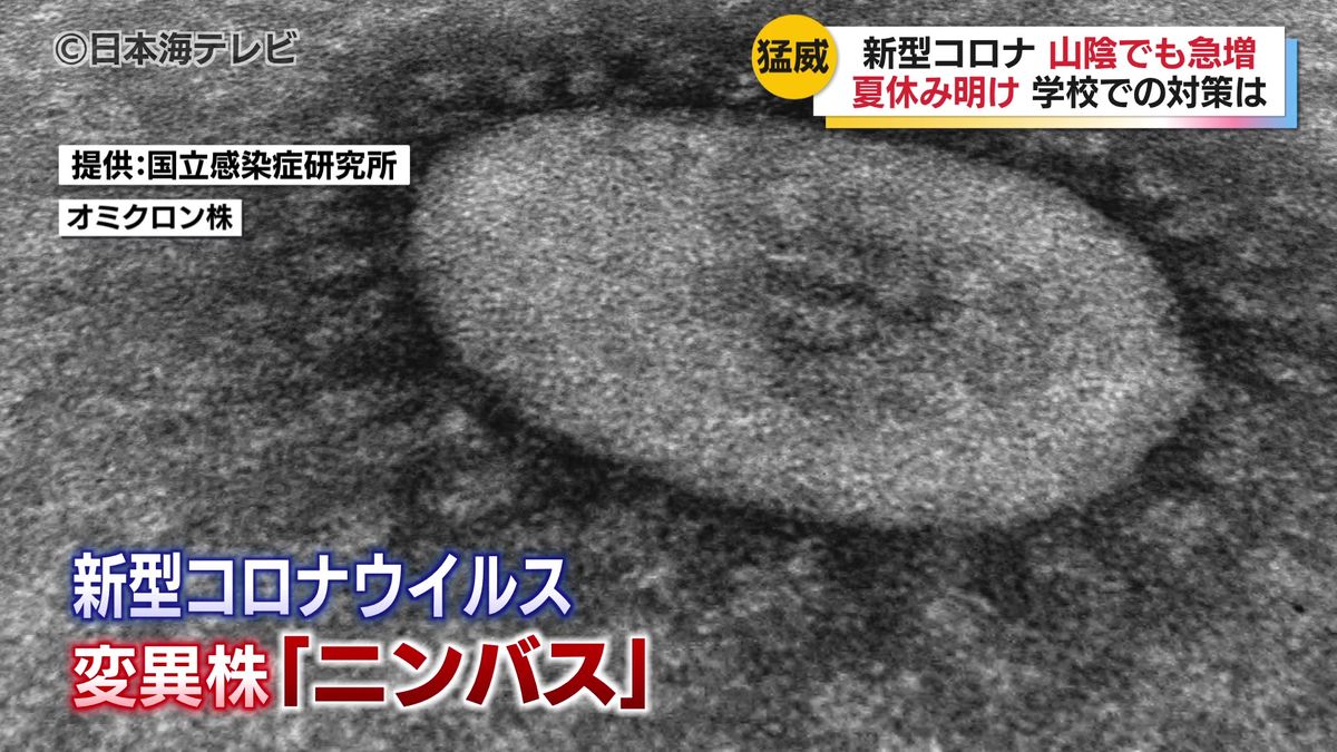 Japan Grapples with Spread of 'Nimbus' Mutation: What's Next?