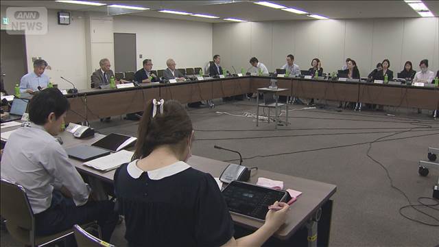 Leap for Women's Health: Emergency Contraceptive 'Norlevo' to Hit Market Shelves in Japan