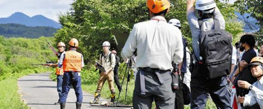 Bear Scare in City Centre Sparks Safety Discussions.
