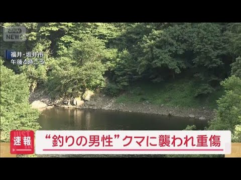 Man in Misadventure: Bear Encounter during Stream Fishing