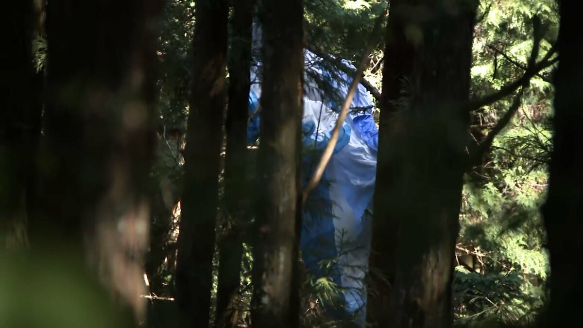 Paragliding Tragedy: Sky High Adventure Turns Fatal