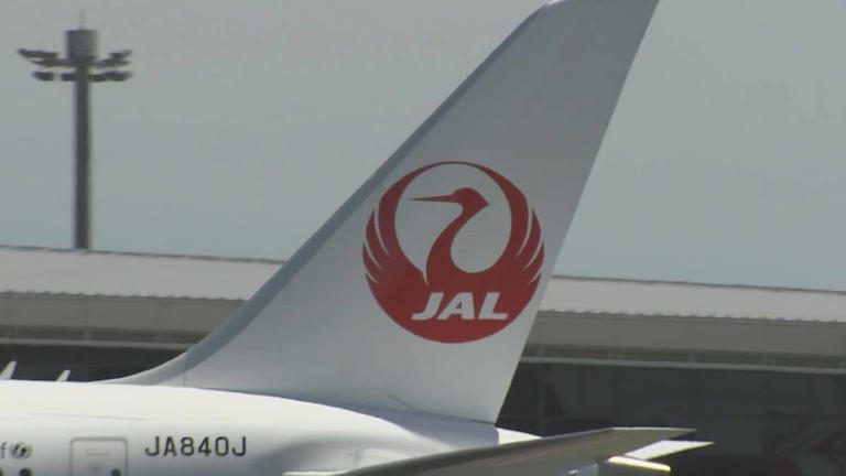 Turbulence Ahead: Drinks Put JAL Pilot's Flight on Delayed Departure List