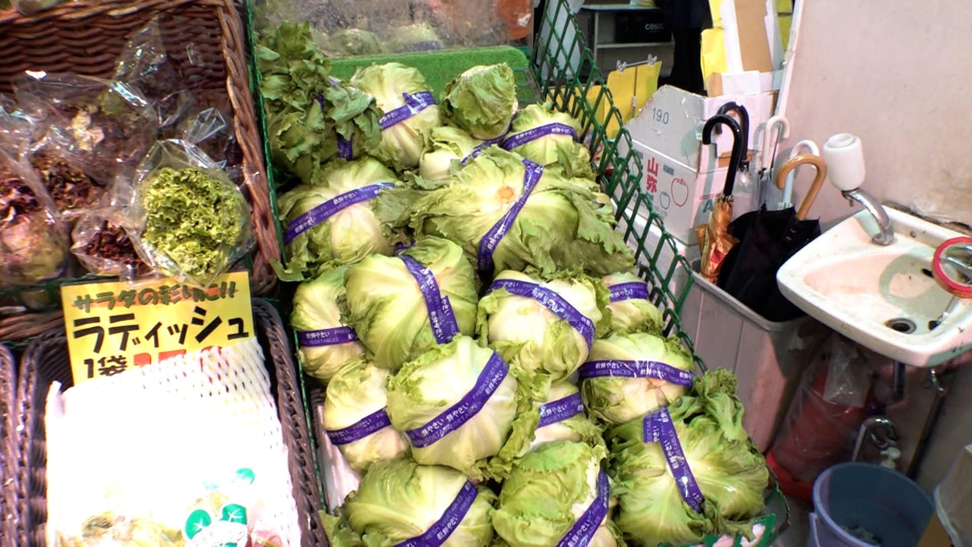 Summer Scorcher Causes Lettuce Price Lift, Cabbage Remains Cool