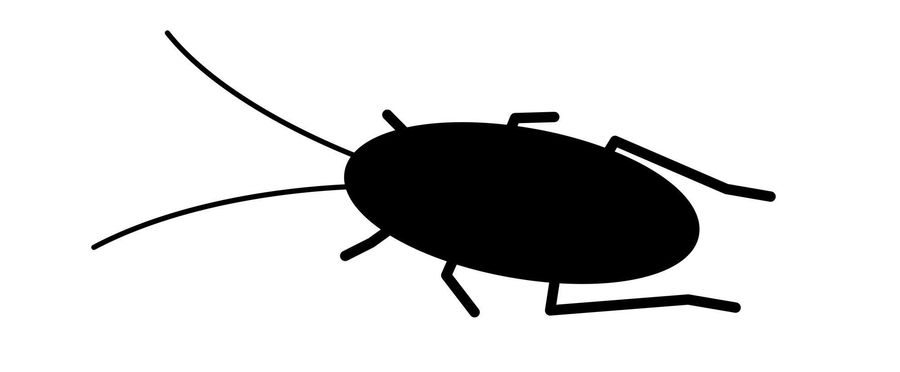 Tokyo Sees Unusual Surge in Cockroach Population - The Mystery Unveiled