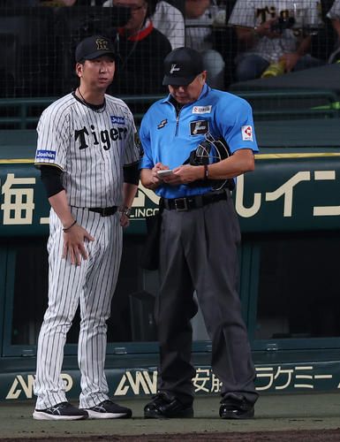 Hanshin Tigers Climbing Up the Ladder: Fastest Victory in History on the Horizon!