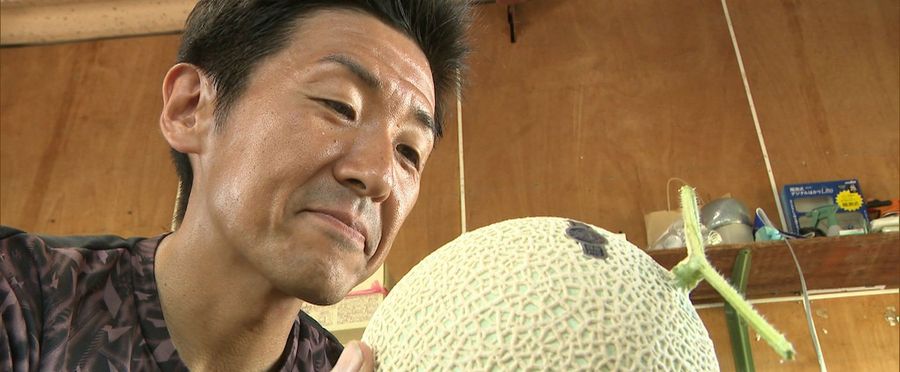 King of Melons: An Alarming Decline in Producers