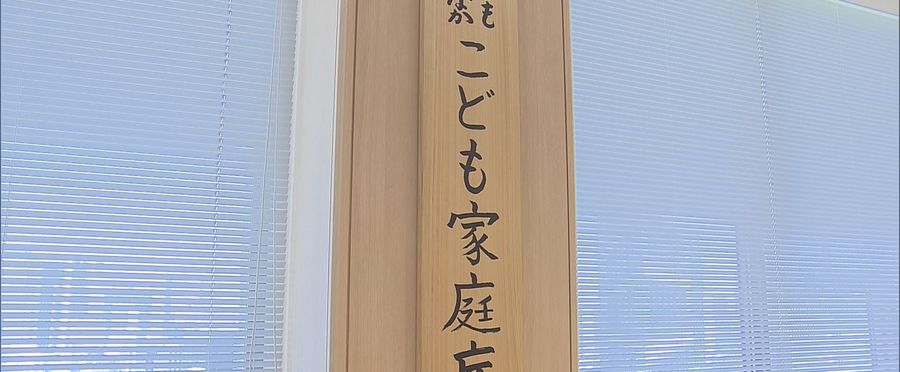 Child Protection: A Call to Action in the Wake of Rising Infant Mortality in Japan