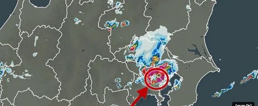 Torrential Torrents in Tokyo: Social Media Chronicles Real-Time Weather Catastrophe