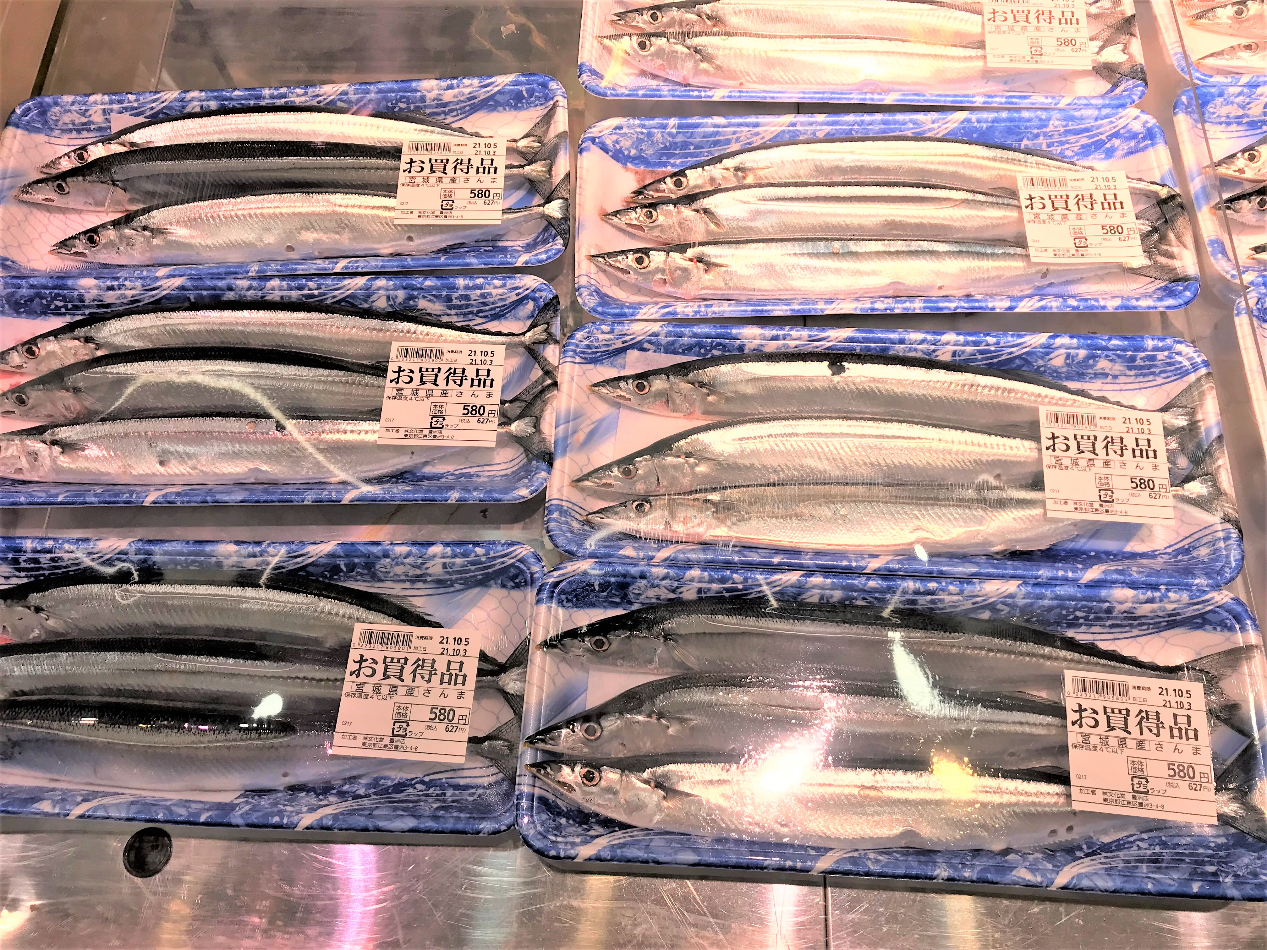 Attention, Sardine Lovers: Why Japan Says 'Eat Them Soon'!