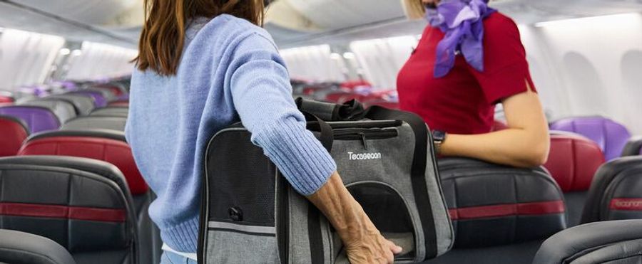 Virgin Australia Opens Skies for Furry Companions!