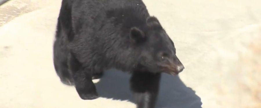 Mystery Shrouds Man Found Dead at Hot Spring Resort