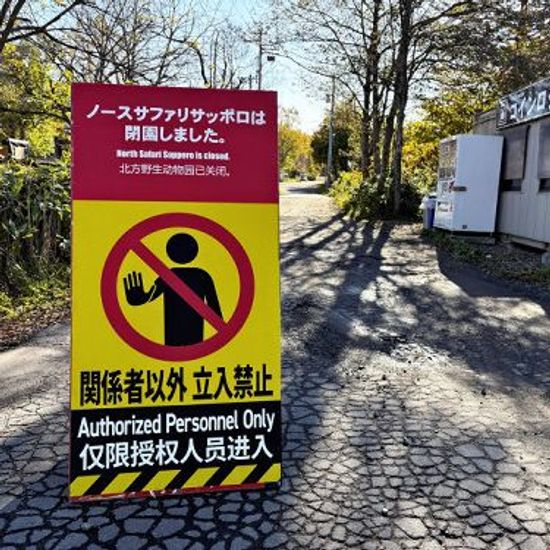 Buzzing Trouble: School Children in Japan Face Unwelcome Bee Attack