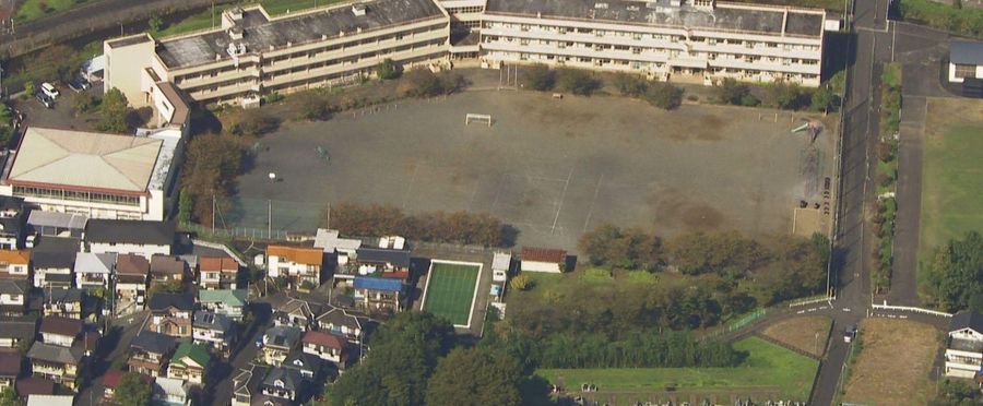 Bumble Buzz: 22 Kids Stung by Underground Hive in Local Incident