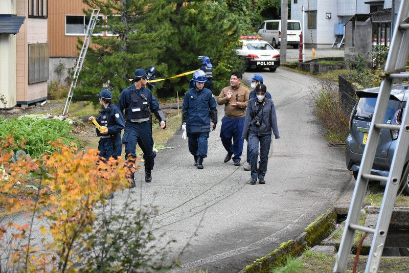 Bear Attack in Akita: A Tragic Encounter in Nature