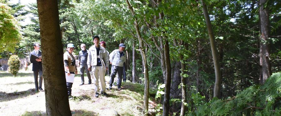 Bear Sightings Halved in Japan: Zoning Triumph?