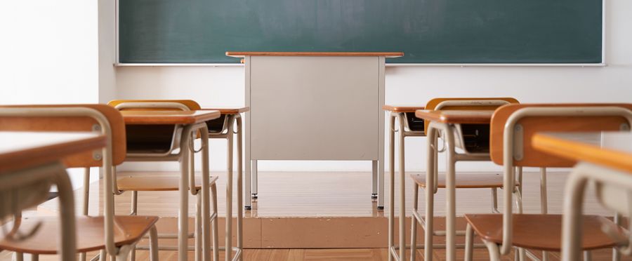 Japan's DBS Initiative: A Challenge in Identifying Inappropriate Educators