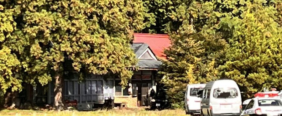 Bear Intrusion: Mystery Surrounds Human Remains Found in Residential Area