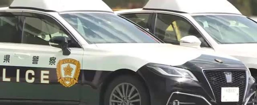 Bear Alert: Disturbing Discovery in Local Gutter Ignites Wildlife Concerns