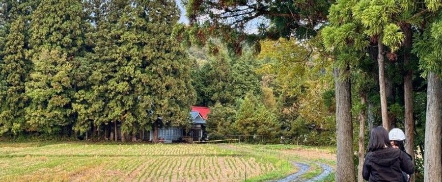 Bear Incidents On The Rise: A Scary Trend Claims Two Lives in Japan