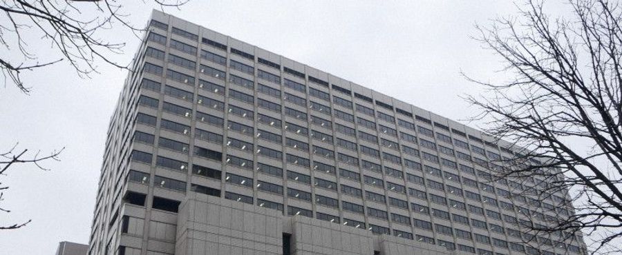 Collision Course: Motorbike and Dog Incident Ends in Mutual Compensation