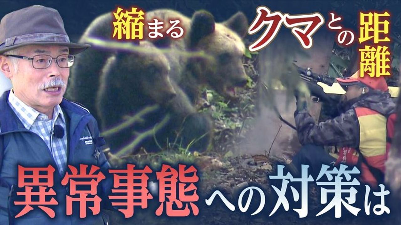 Urgent Ursa: Bear Sightings Surge in Sapporo - Why This Year?