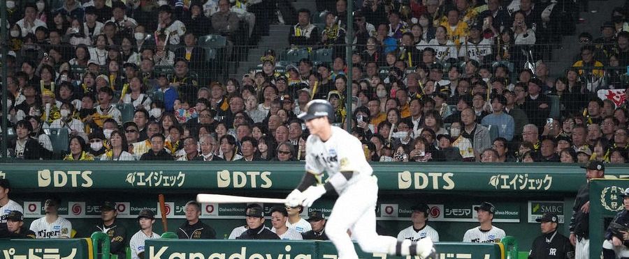 Tigers Fans Pack Up Early: An Unexpected End to Play at Koshien