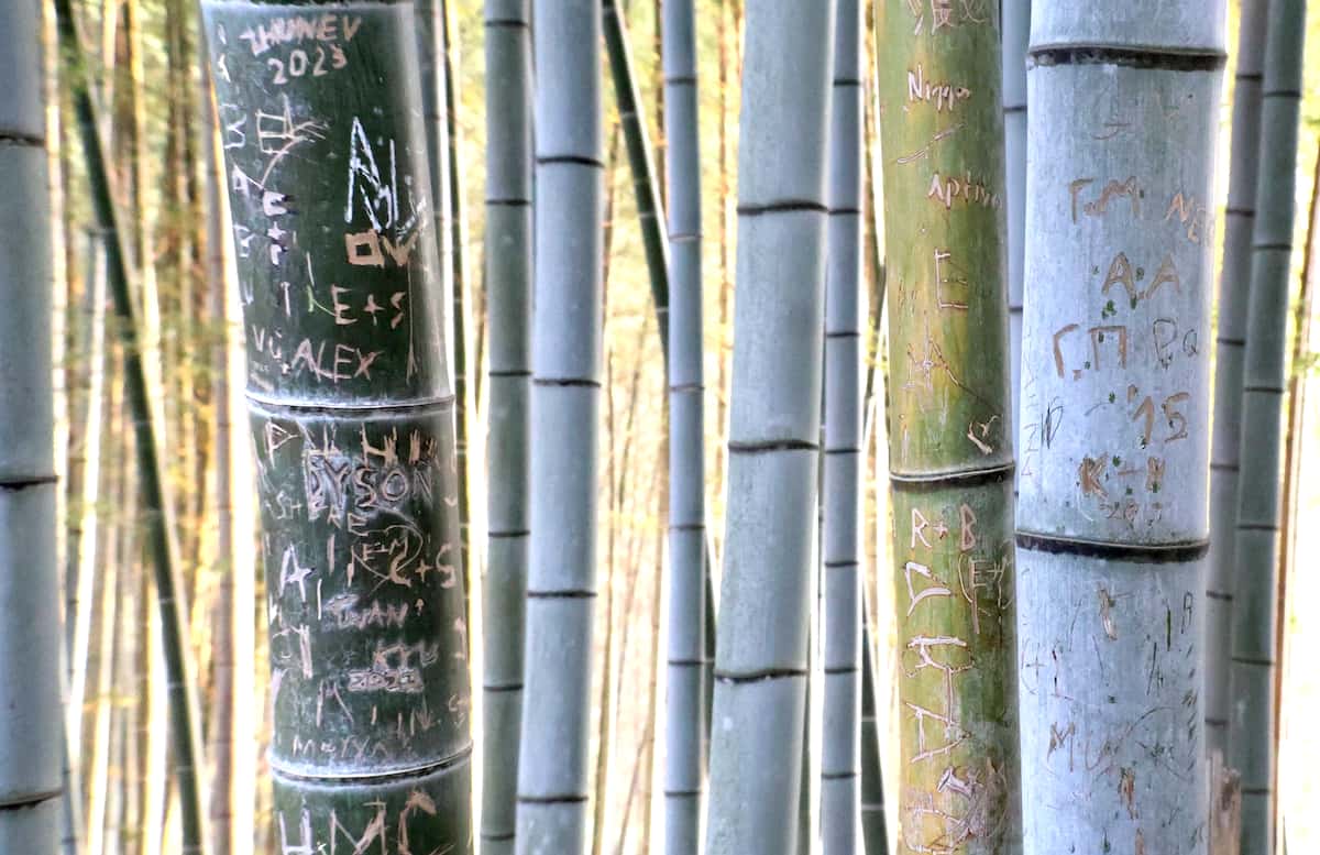 Graffiti Onslaught Mars Serenity of Fushimi Inari's Bamboo Grove