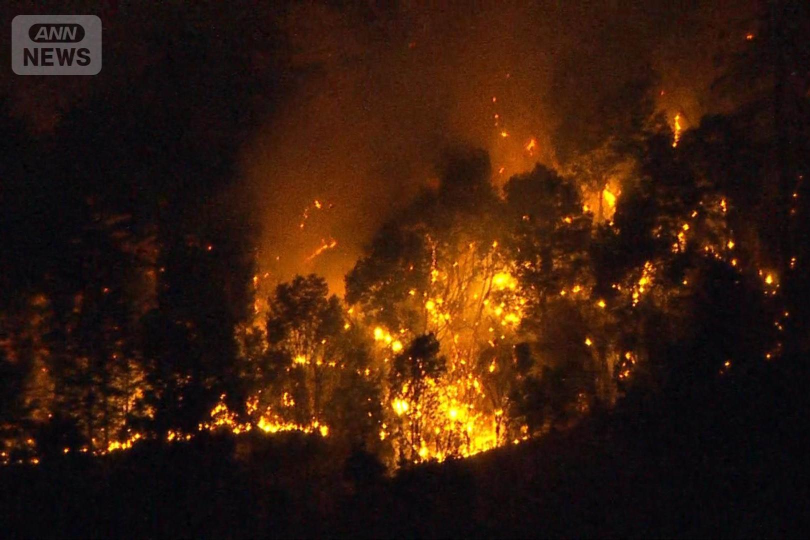 Forest Fire Threatens Homes in Yamanashi Mountains