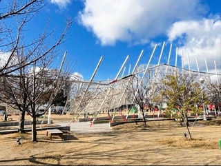 Unexpected Turn of Events at Kobe Luminarie as Artwork Collapses”