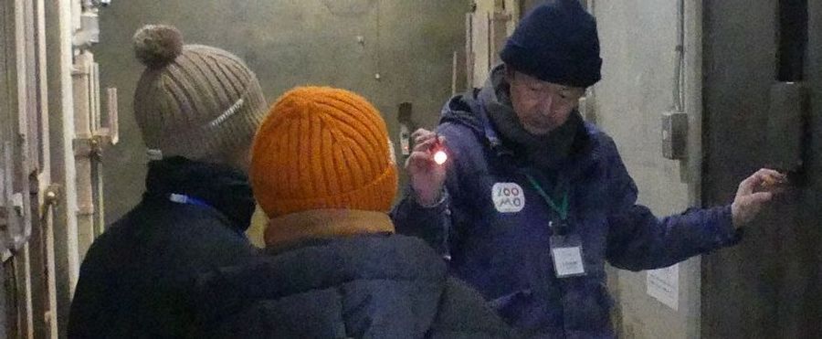 Bear-Watching Winter Tours in Japan Are Selling out Fast!